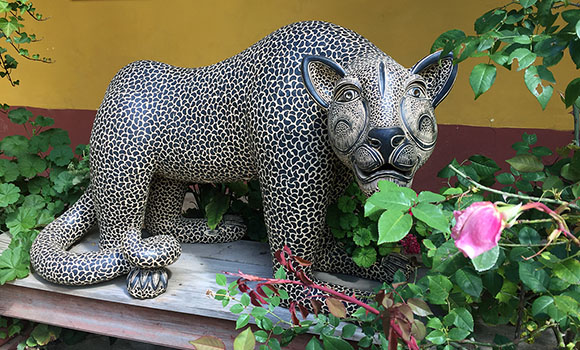 jaguar at casa na bolom