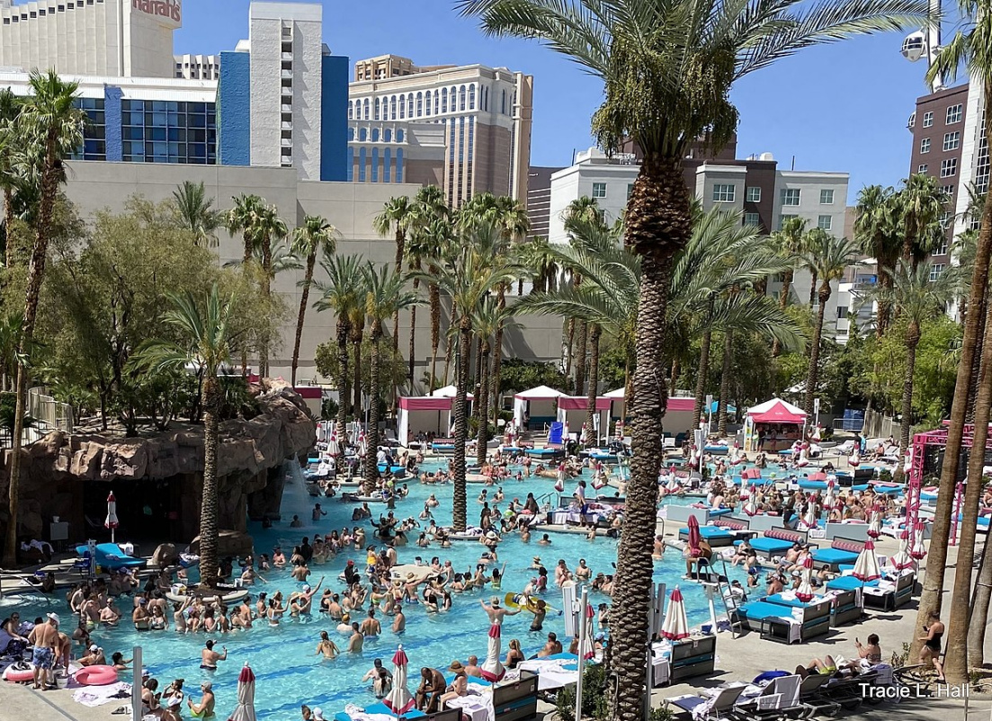 Flamingo Las Vegas Pool