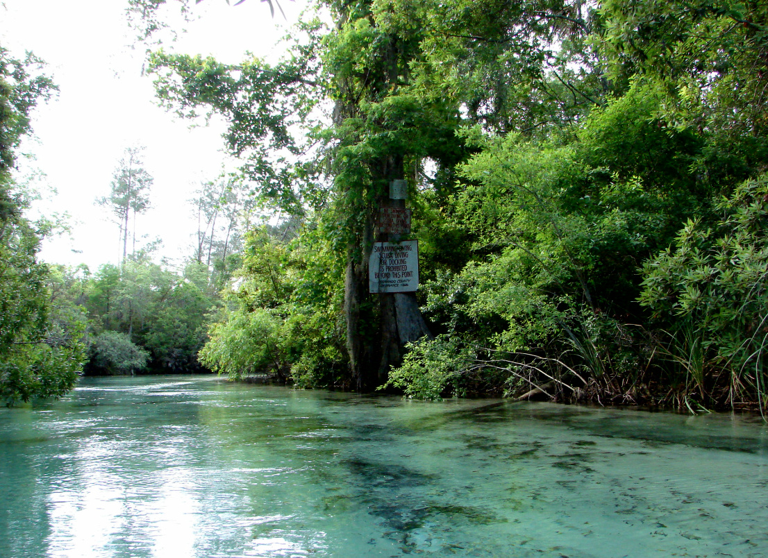 Weeki Wachee Springs State Park