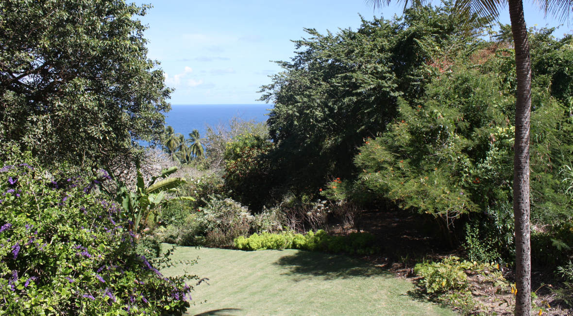 Andromeda Botanic Gardens in barbados