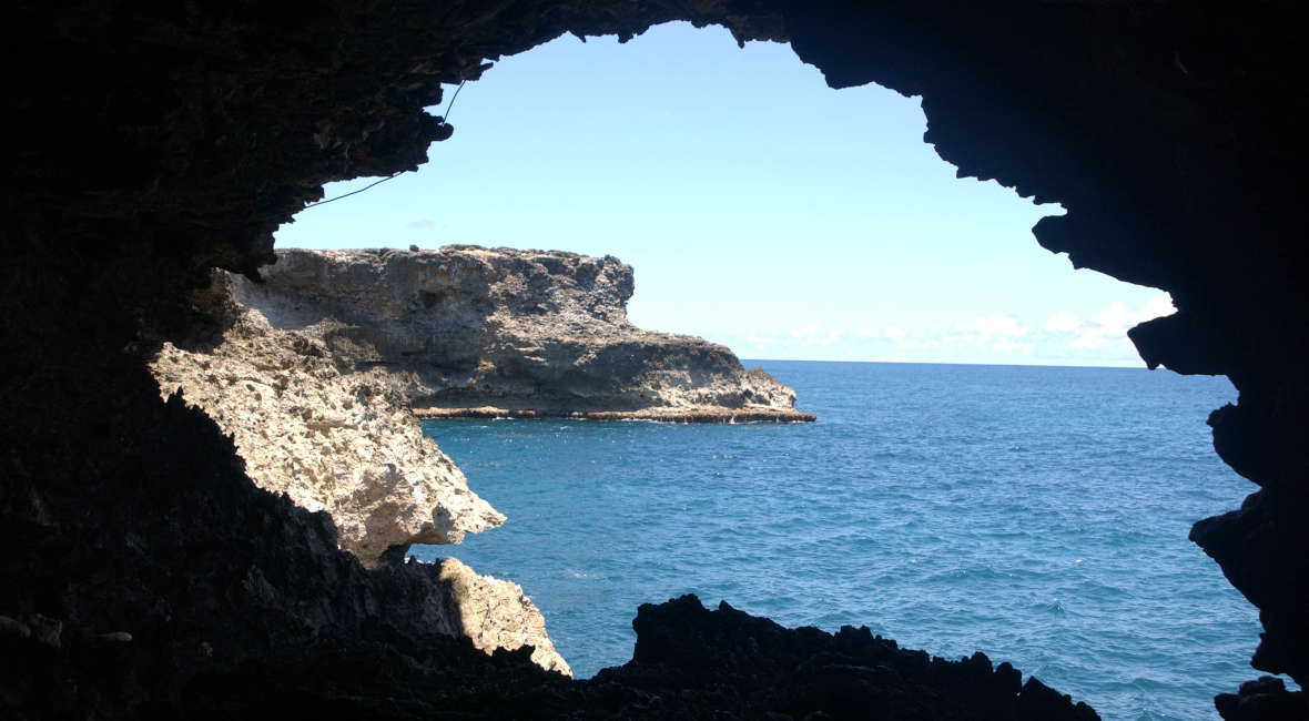 Animal Flower Cave in barbados