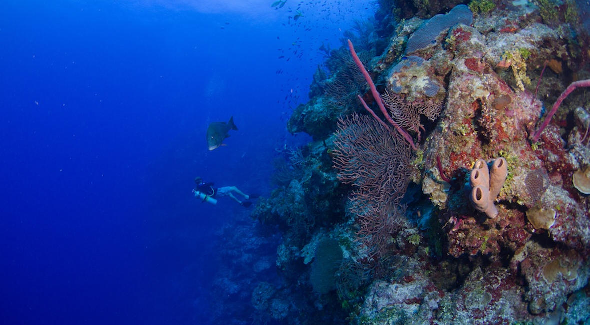 Bloody Bay Marine Reserve in Cayman Islands