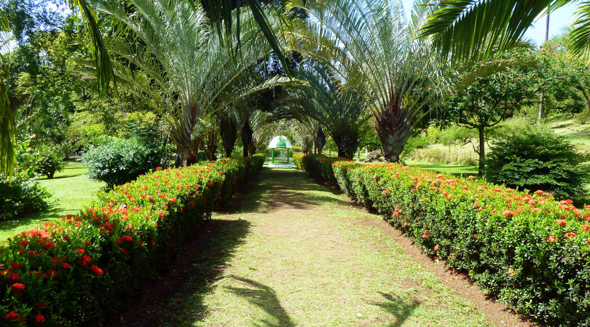 St. Vincent Botanical Gardens