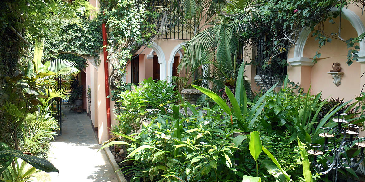 Garden at Casa San Francisco in Granada Nicaragua