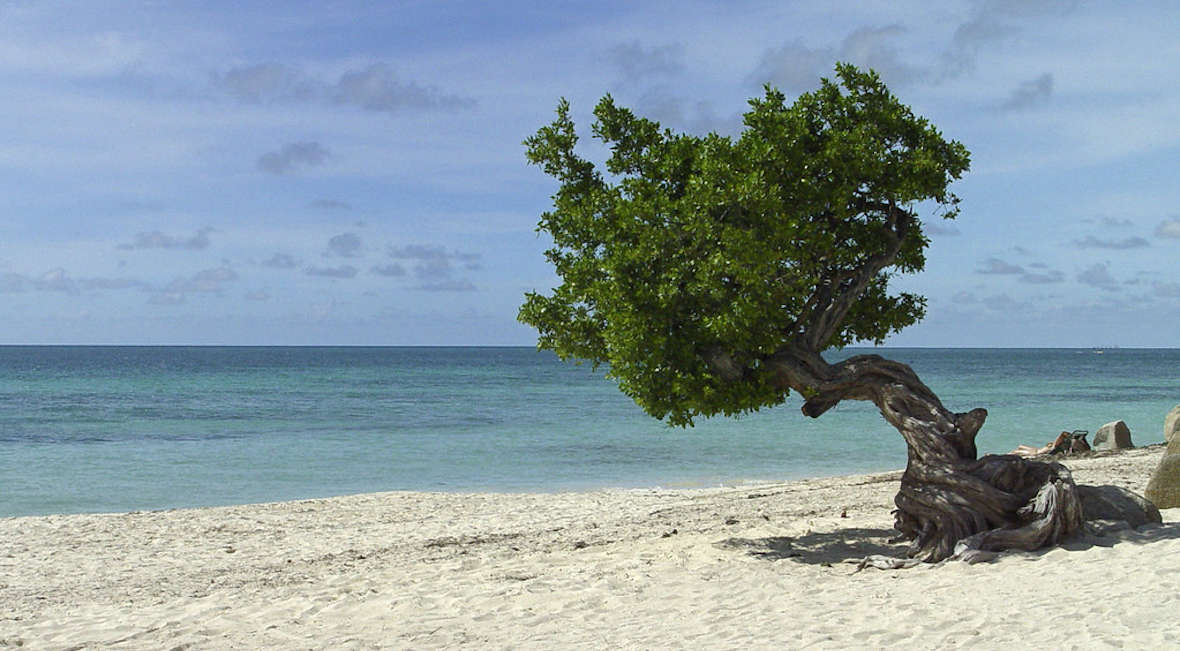 Eagle Beach in Aruba