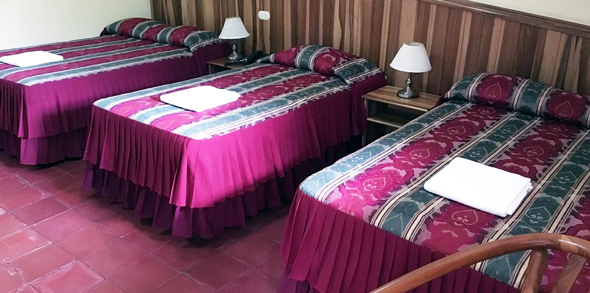 Guestroom at Hotel Austria in Leon