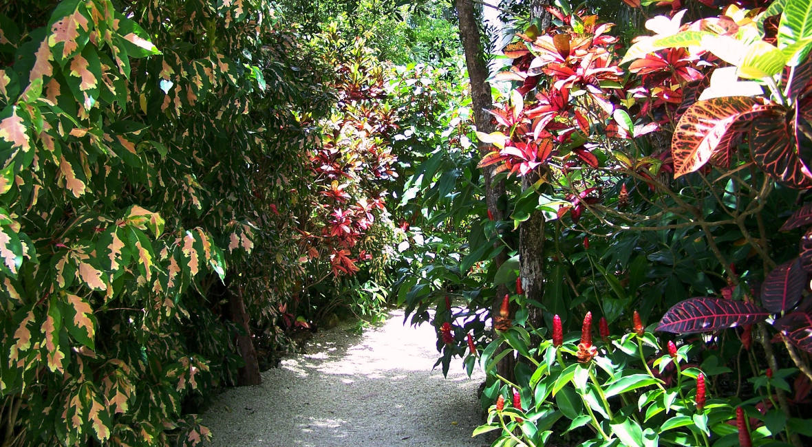 Queen Elizabeth II Botanic Park in Cayman Islands