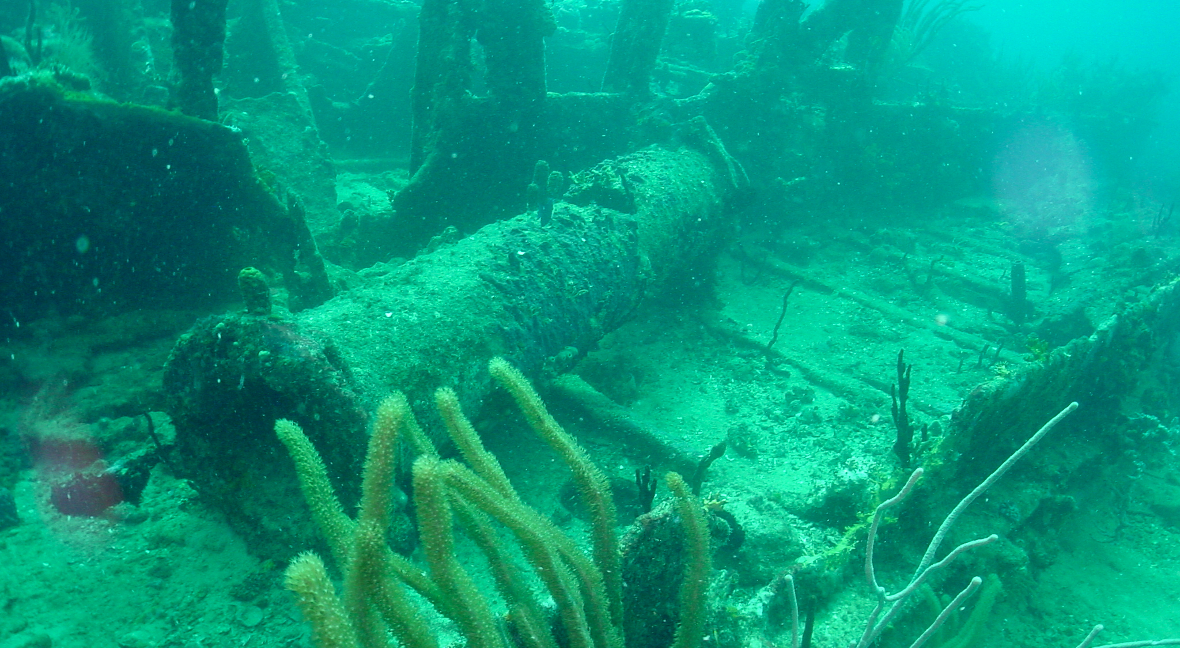 Rhone National Maritime Park in the british virgin islands