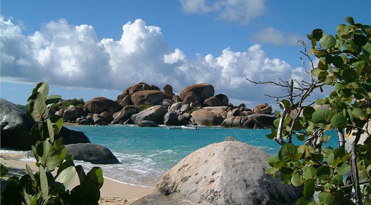 Sage Mountain National Park in the british virgin islands