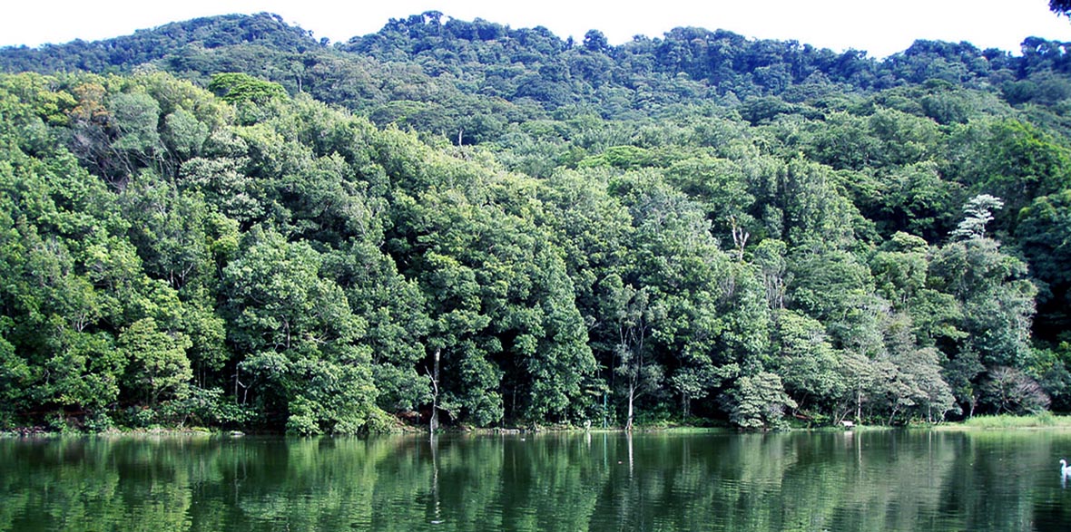 Selva Negra in Nicaragua