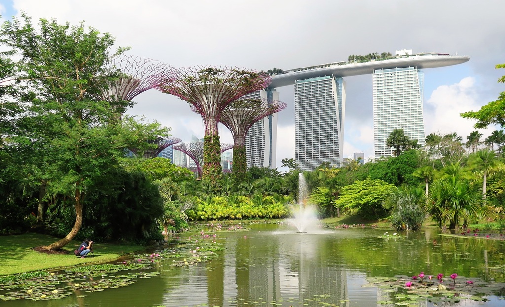 singapore park and skyscraper