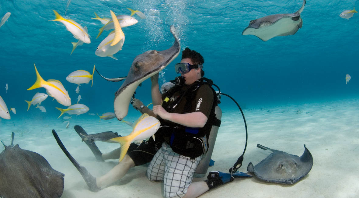 Stingray City in Cayman Islands